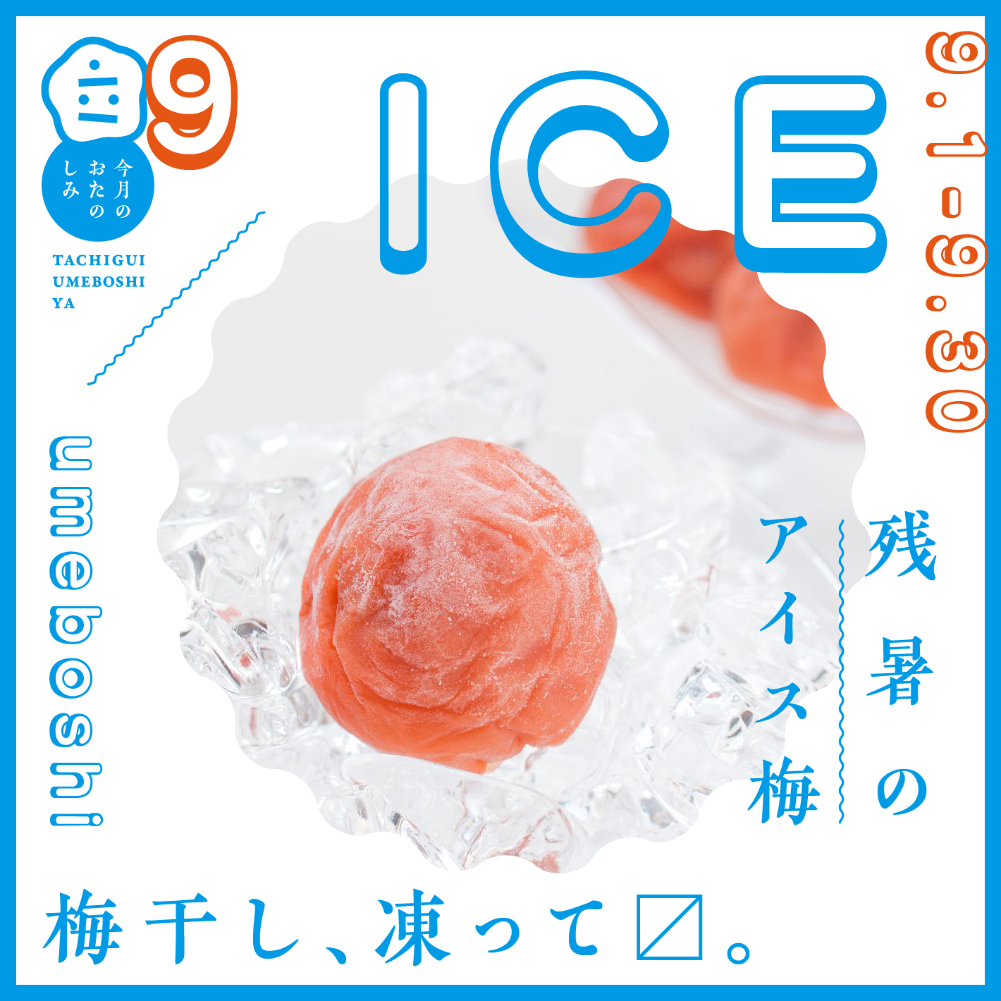 9月のおたのしみ『残暑のアイス梅』 - 立ち喰い梅干し屋